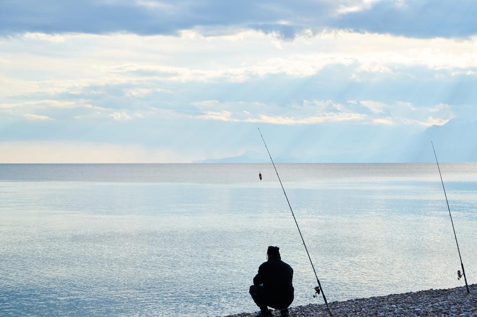 Fishing Rod Toys