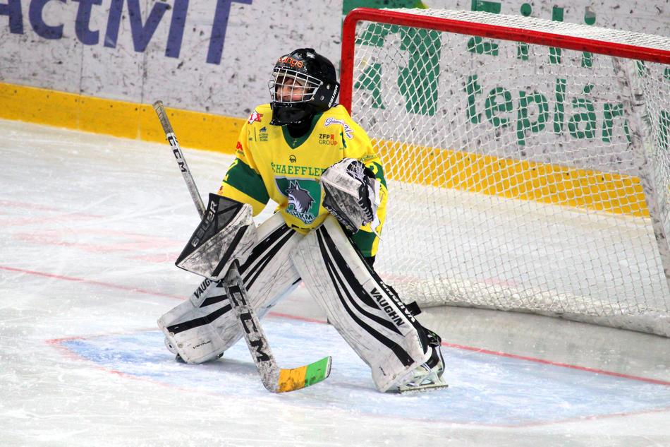 Hockey Goalkeeper, child girl at goal