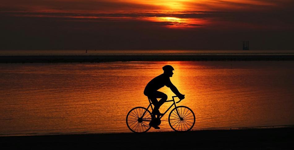 sunset Wheel Bike