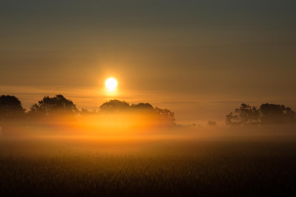 extreme Sunrise Fog