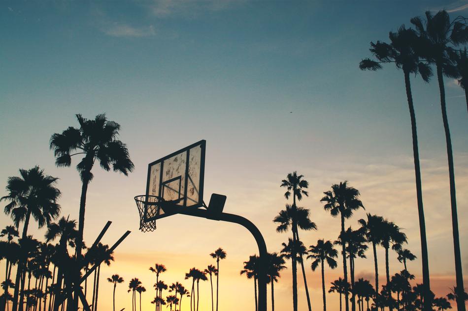 basketball hoop near palm trees during sunset