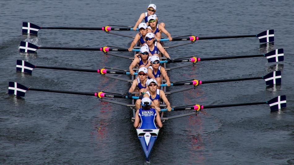 delightful Rowing Boat