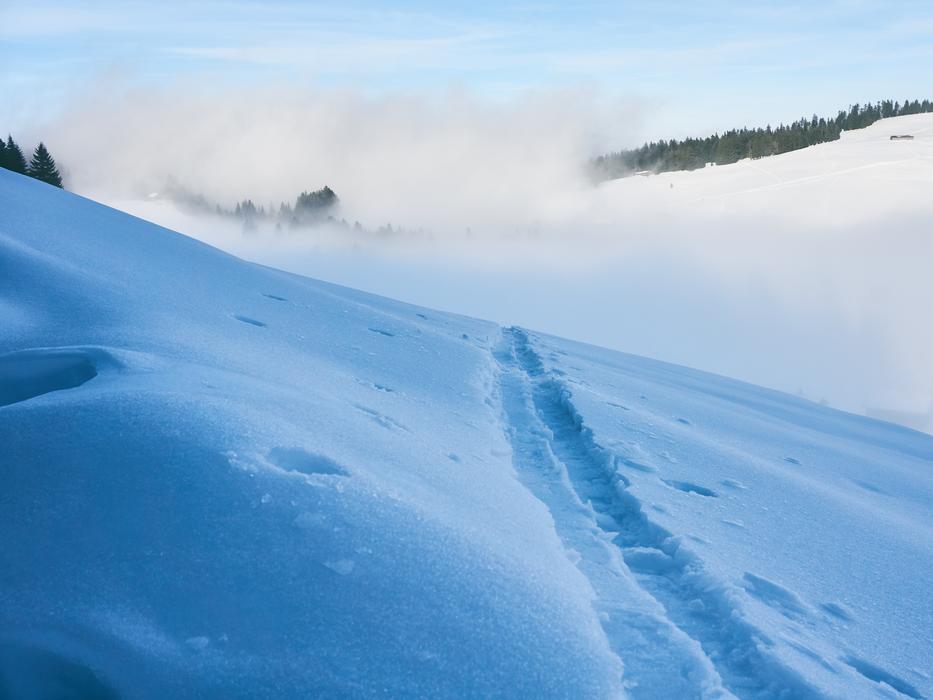 ski Traces on Snow in Foggy valley