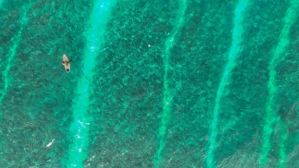 Beach Ocean green