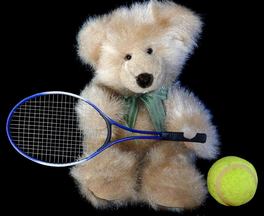 Teddy Bear with Tennis