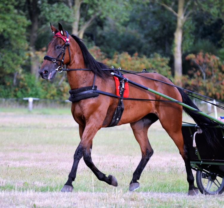 racing at Rennsulky