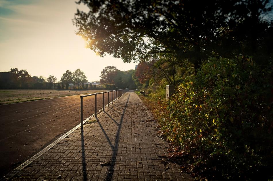 sport path in early morning