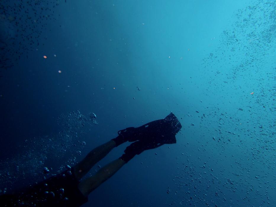 photo of the feet of dawers in fins under water