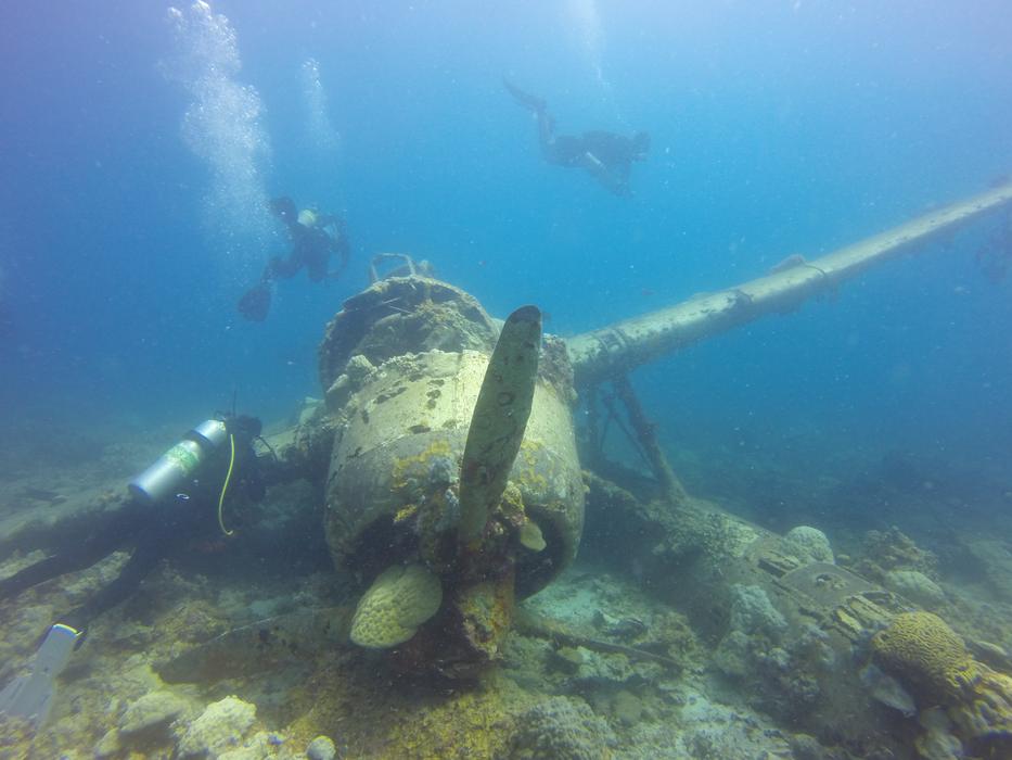 wrecked seaplane underwater, Palau