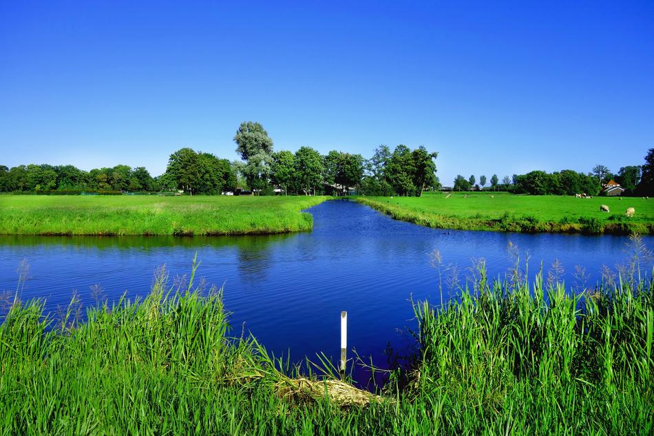 waterway between green aqua plants