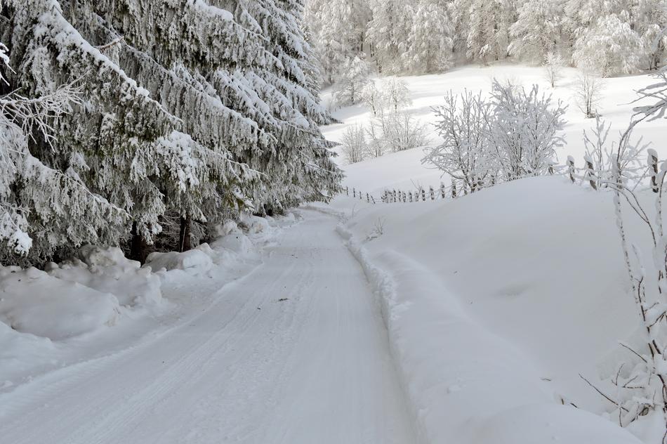 Winter Scen snow