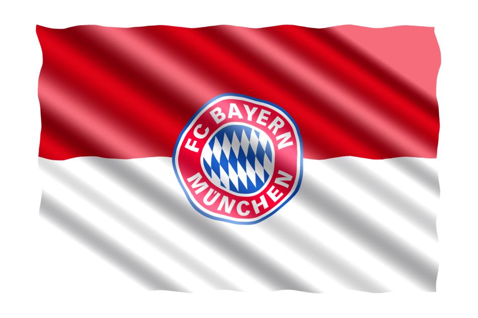 flag of the bavaria munich