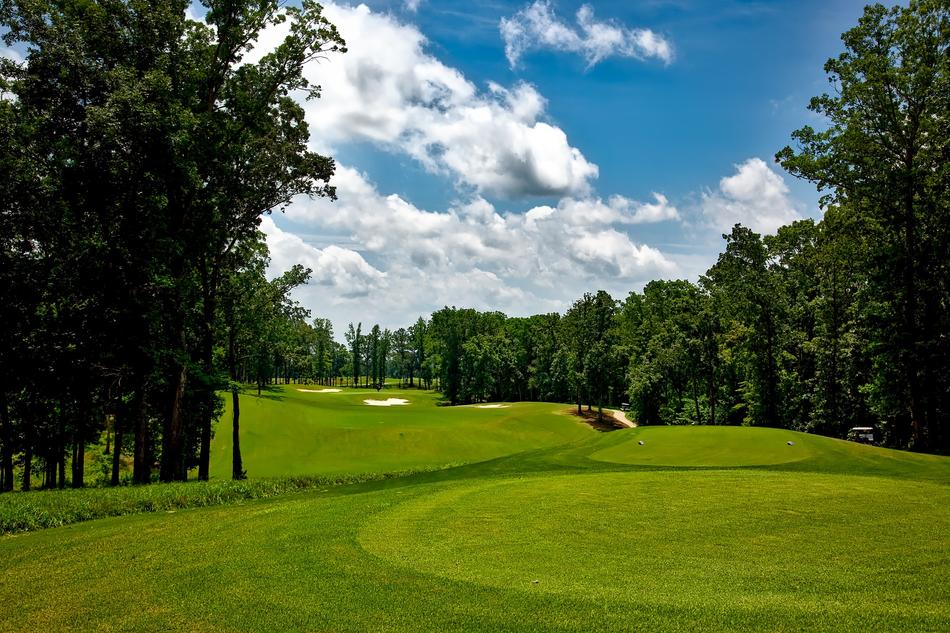 green Shoals Course Muscle