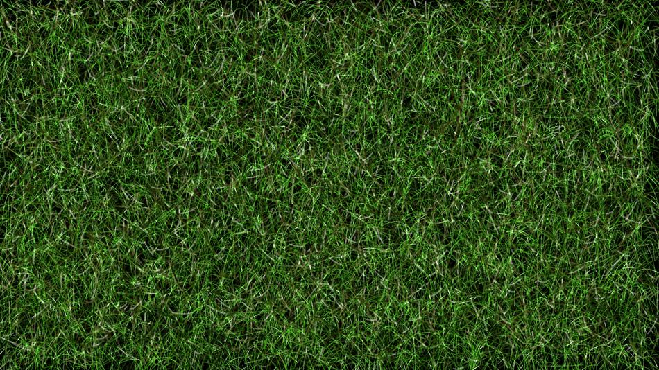 Grass Football Lawn as background