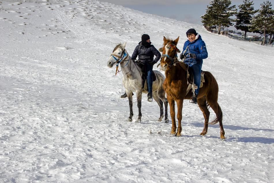 Snow Winter horse and people