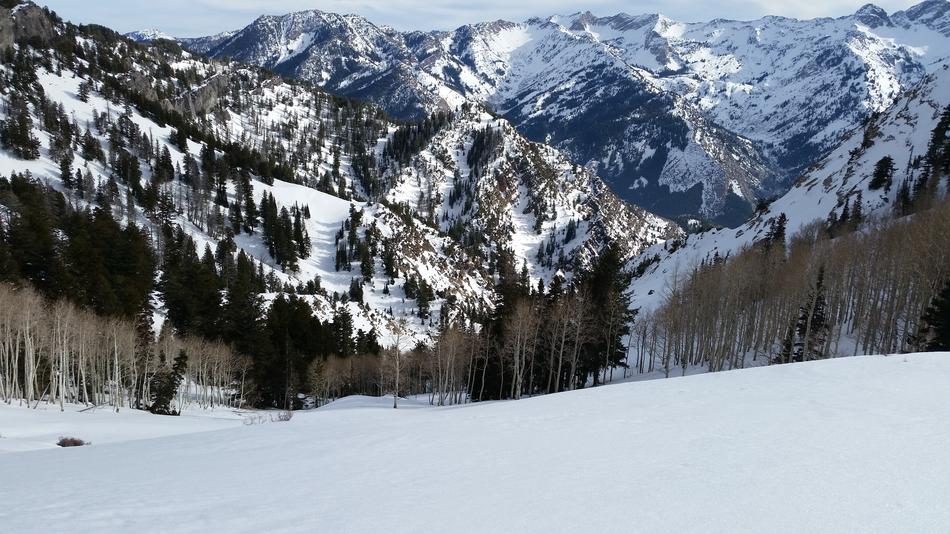 Mountain Snow winter forest