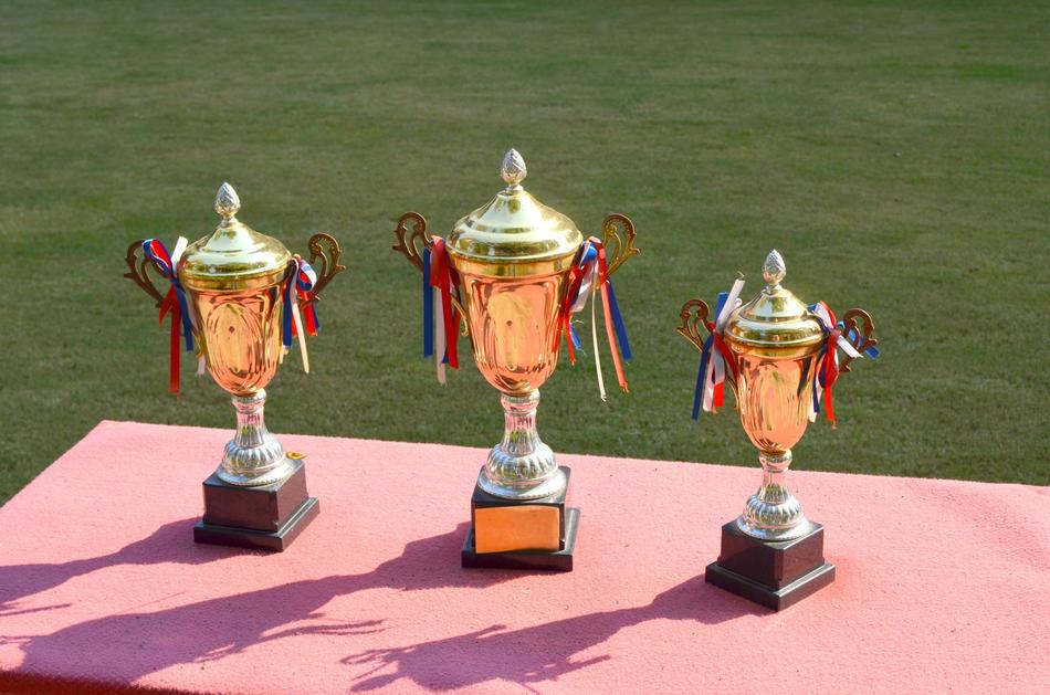 Colorful, shiny trophies, with the ribbons, on the red table, among the green grass