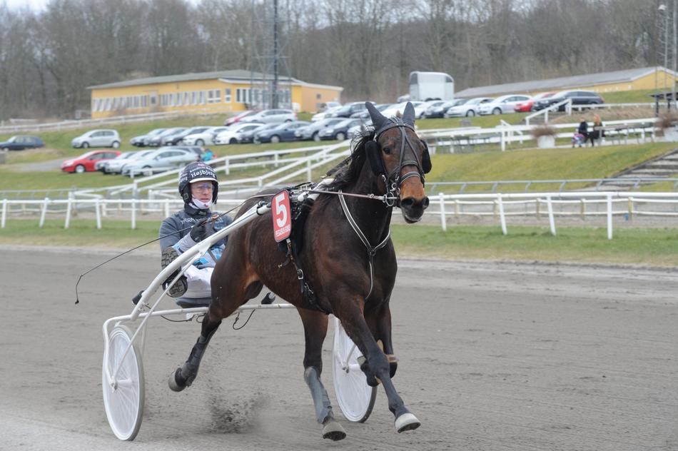 Horse Quickly sport