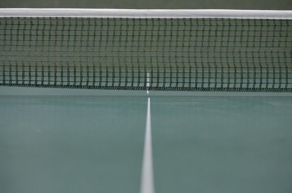 Table Ping-Pong and net