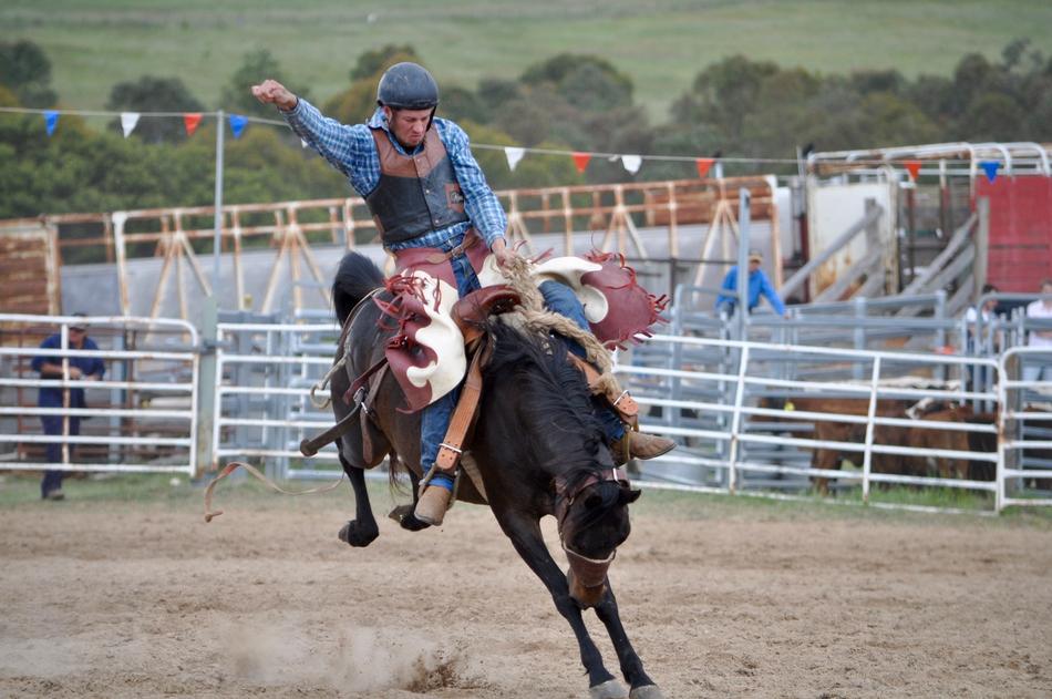 cowboys on horseback during rodeo
