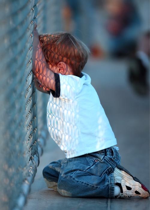Boy, watching baseball game, though the fence