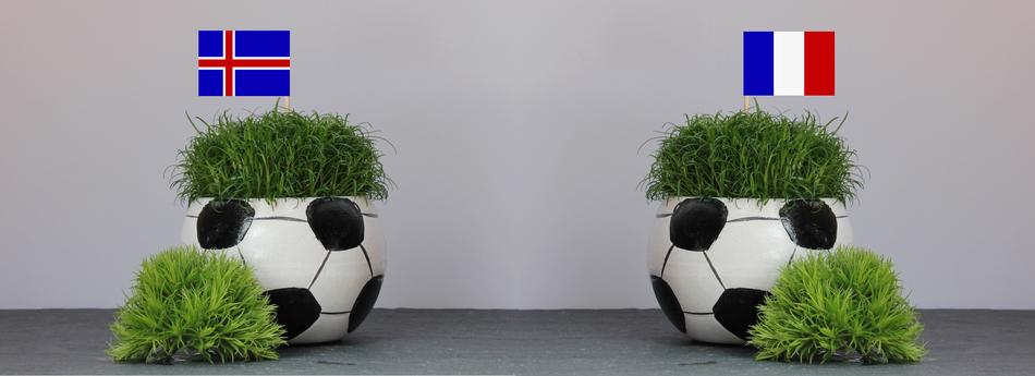 pots with plants next to the flags of countries at the FIFA World Cup
