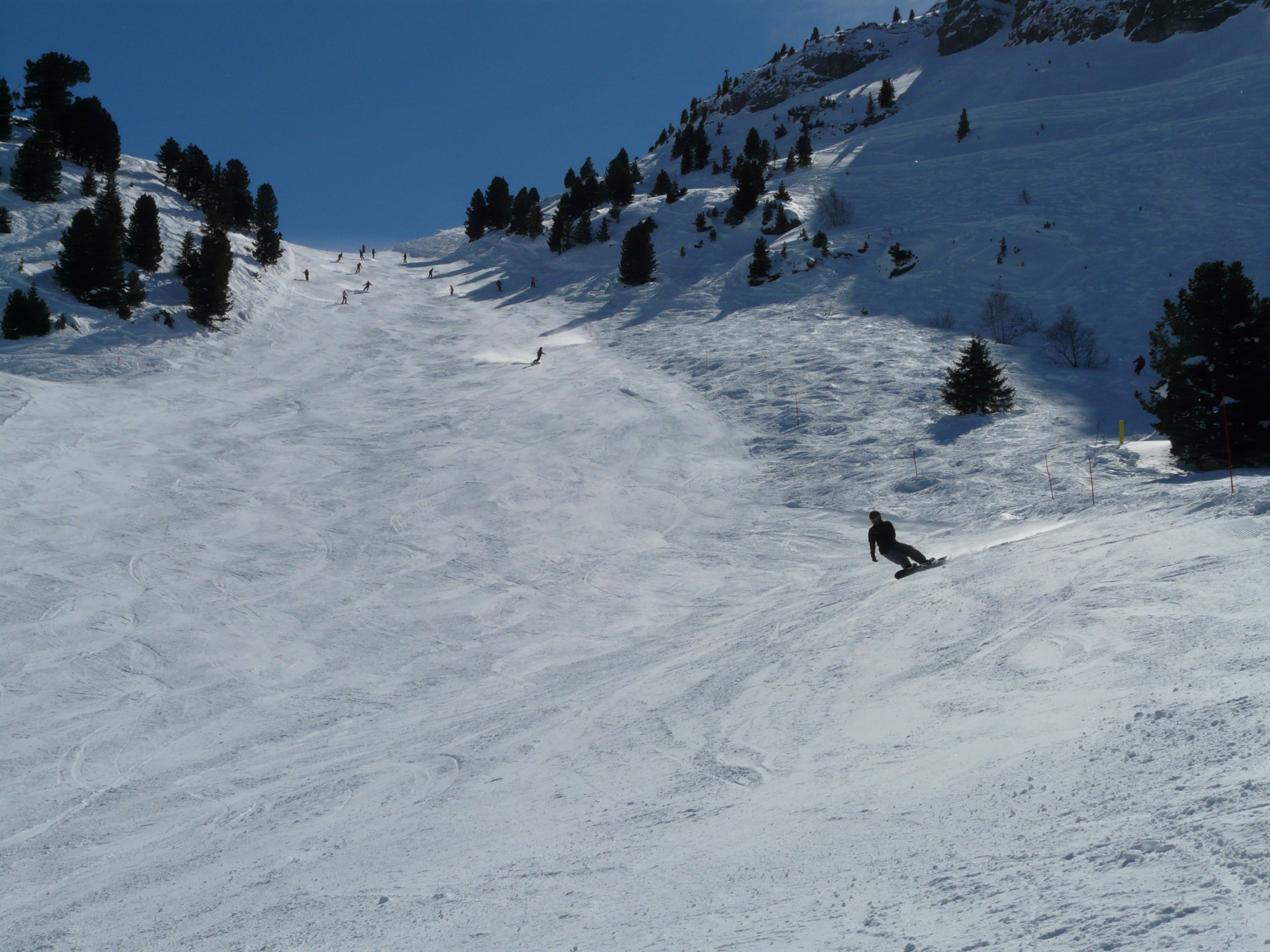 Ostrich Snow Skiing