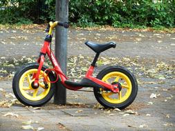 Red, yellow and black bike near the pole, near the green plants, on the ground with colorful leaves