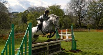 Rider on the beautiful, white horse, jumping on the competition, among the colorful plants