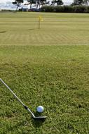 Golf Ball on a field on a sunny day