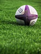 Rugby Sport Ball on the green grass