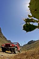 SUV on the mountain near the cacti