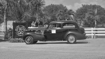 Antique Vehicle among palm trees in monochrome