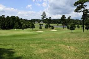 Beautiful landscape of the green golf course with trees, under the blue sky with white clouds