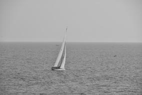 racing yacht on the water on a cloudy day
