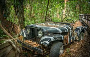 Old, vintage, colorful jeep, among the colorful plants of the tropical forest