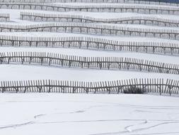 wooden fences as a Avalanche Protection