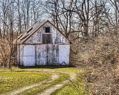 wooden barn near the trees