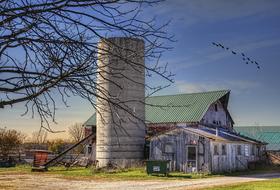 Rustic Barn shed