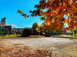 Landscape of the court of the Inonu University in Turkey, among the colorful and beautiful plants in the autumn