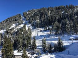 Ski Switzerland Mountain forest