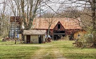 Barn Rustic in forest