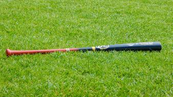 the blue-red bat lies on the lawn