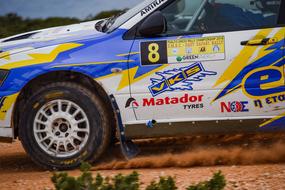 Side view of the colorful and beautiful rally car, on the ground with green plants