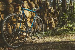 Road Bike Vintage blue wood wall