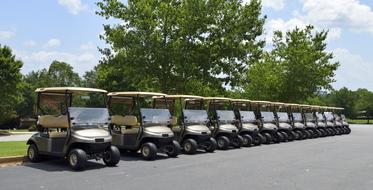 Golf carts in the row, near the colorful and beautiful plants, near the golf course