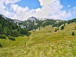 Beautiful and colorful mountain with green trees, at blue sky with white clouds on background