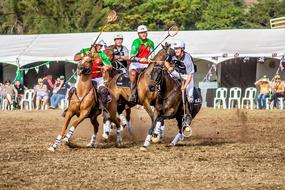 scrum in a polo game