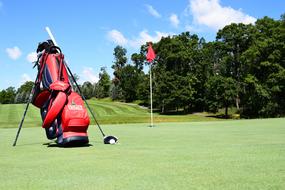 Golf equipment on the the green golf course, among the trees