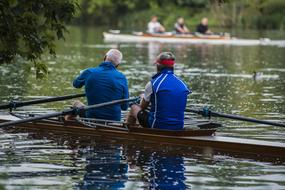 rowers on the Danube close-up